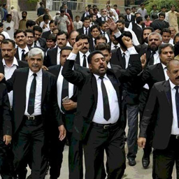 سپریم کورٹ نے وکلاء کی جعلی ڈگریوں پر کمیٹی بنانے کا اشارہ دے دیا